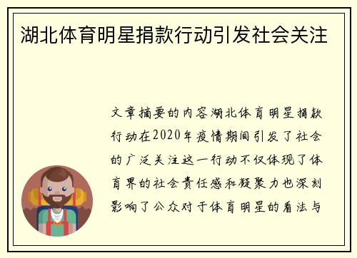 湖北体育明星捐款行动引发社会关注